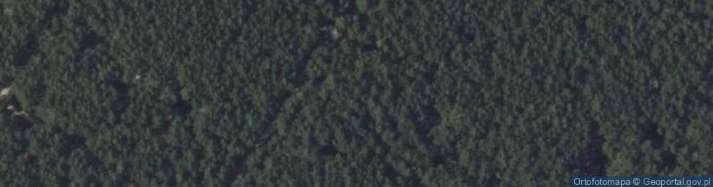 Zdjęcie satelitarne Puszczyka ul.