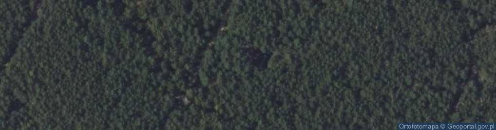 Zdjęcie satelitarne Puszczyka ul.