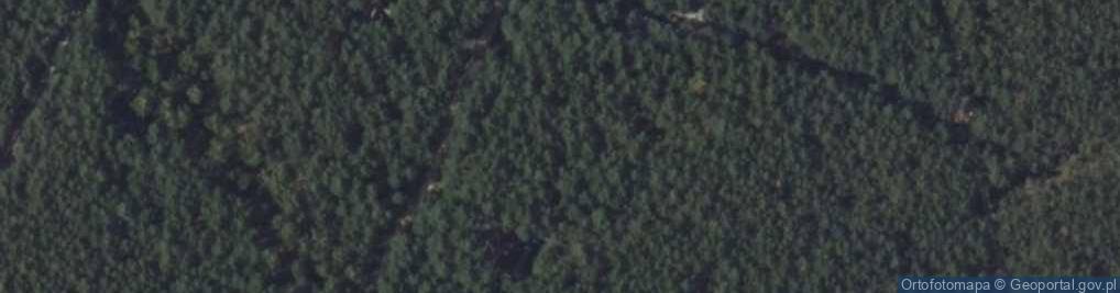 Zdjęcie satelitarne Puszczyka ul.