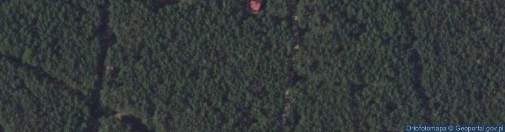 Zdjęcie satelitarne Puszczyka ul.