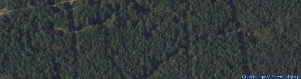 Zdjęcie satelitarne Puszczyka ul.