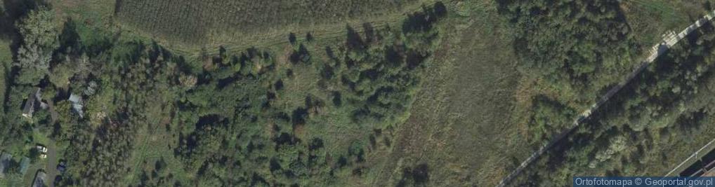 Zdjęcie satelitarne Puchaczów ul.