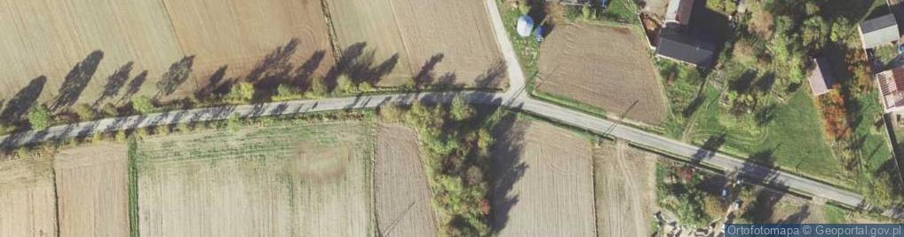 Zdjęcie satelitarne Pustki ul.