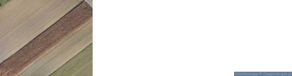 Zdjęcie satelitarne Pustki ul.