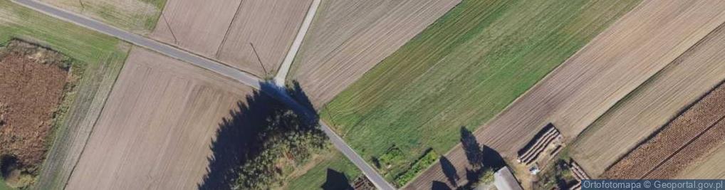 Zdjęcie satelitarne Pustki ul.
