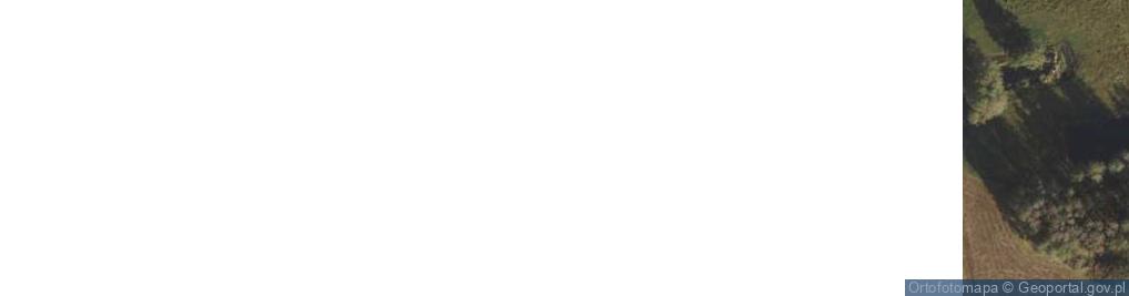 Zdjęcie satelitarne Puszcza Rządowa ul.