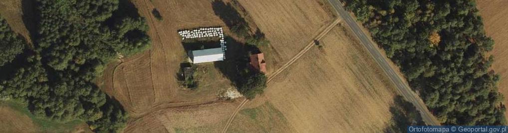 Zdjęcie satelitarne Puszcza Rządowa ul.