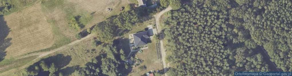 Zdjęcie satelitarne Puszcza ul.
