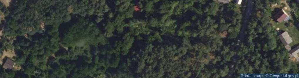 Zdjęcie satelitarne Puchacza ul.
