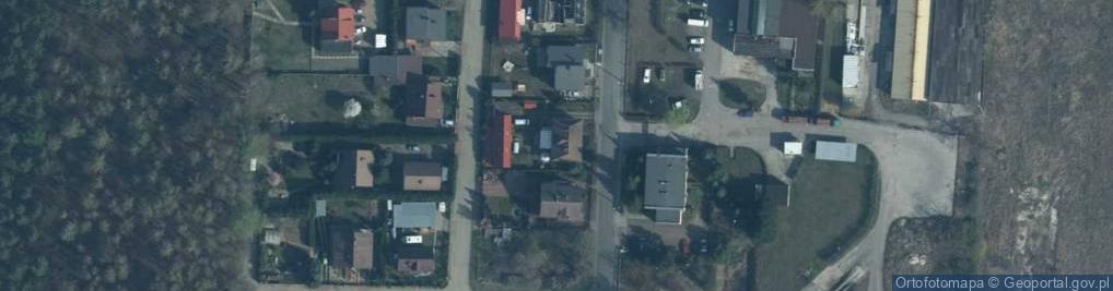 Zdjęcie satelitarne Puszczy Rzepińskiej ul.