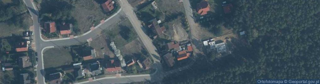 Zdjęcie satelitarne Puszczy Rzepińskiej ul.