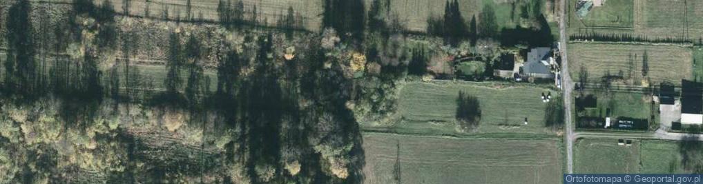 Zdjęcie satelitarne Puścina ul.