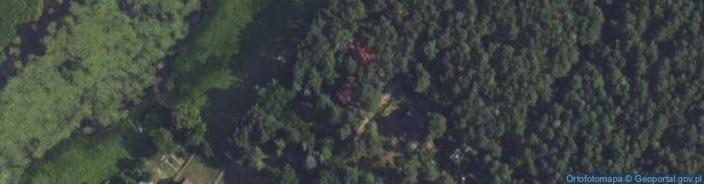 Zdjęcie satelitarne Puchatka ul.