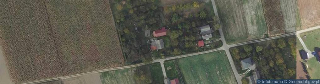 Zdjęcie satelitarne Pyrza Michała, wójta ul.