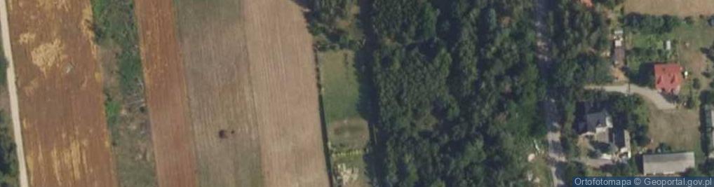 Zdjęcie satelitarne Rajska ul.