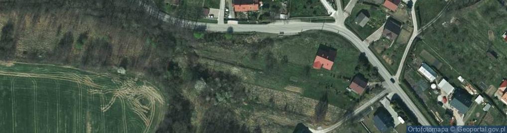Zdjęcie satelitarne Radziwiłłów ul.