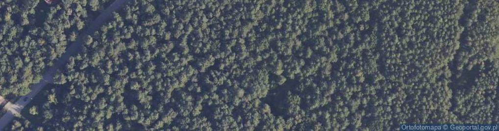 Zdjęcie satelitarne Radosna ul.