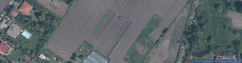 Zdjęcie satelitarne Rajska ul.