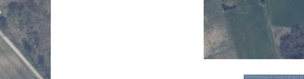 Zdjęcie satelitarne Radosna ul.