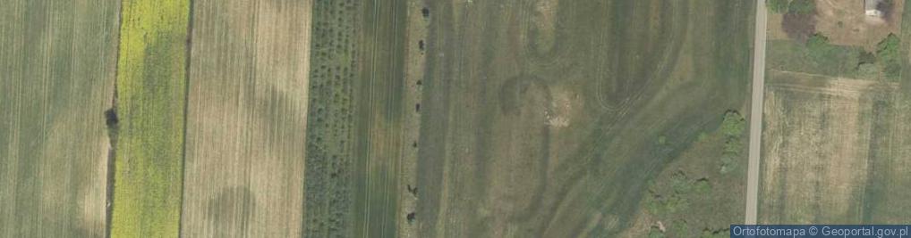 Zdjęcie satelitarne Radosna ul.