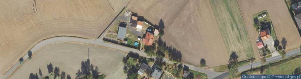 Zdjęcie satelitarne Radzyńska ul.