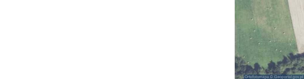 Zdjęcie satelitarne Raciechowice ul.