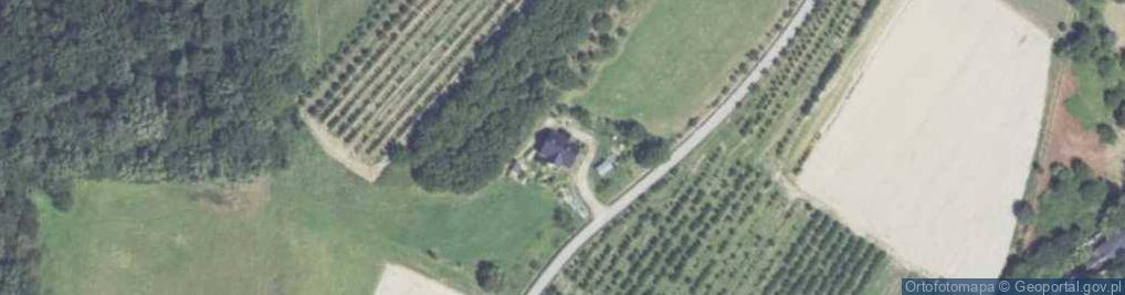 Zdjęcie satelitarne Raciechowice ul.