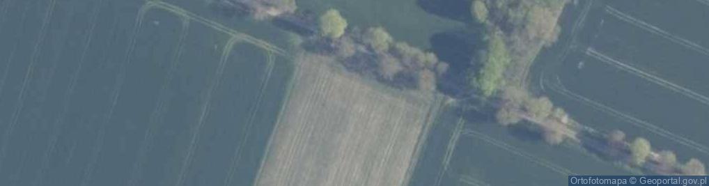 Zdjęcie satelitarne Radawka ul.