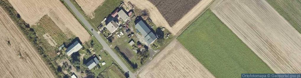 Zdjęcie satelitarne Radolina ul.