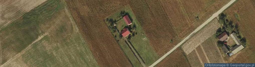 Zdjęcie satelitarne Radomice ul.