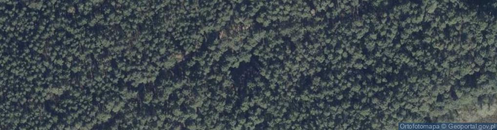 Zdjęcie satelitarne Radomyśl ul.