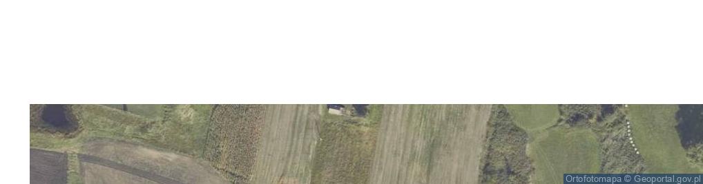 Zdjęcie satelitarne Radoszewice ul.