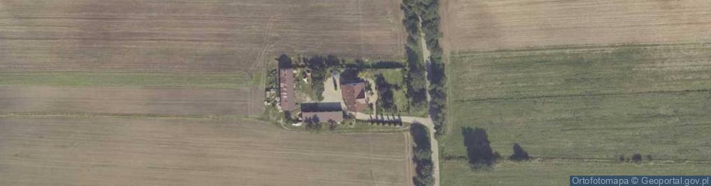 Zdjęcie satelitarne Radoszewice ul.