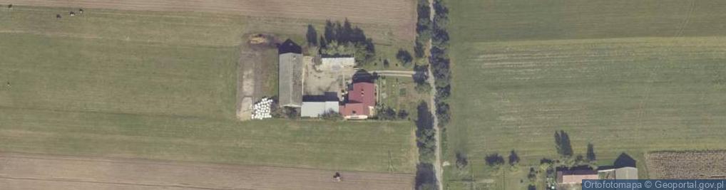 Zdjęcie satelitarne Radoszewice ul.