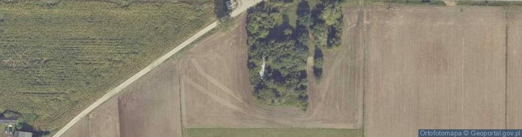 Zdjęcie satelitarne Radoszewice ul.