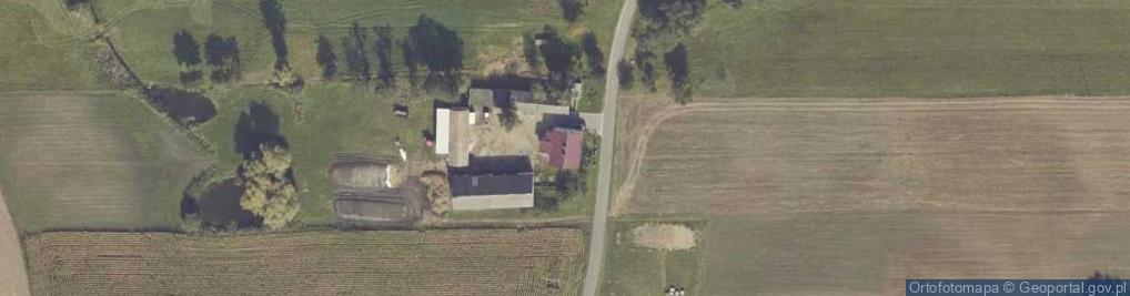 Zdjęcie satelitarne Radoszewice ul.