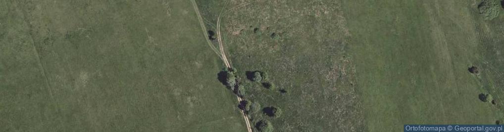 Zdjęcie satelitarne Radoszyce ul.