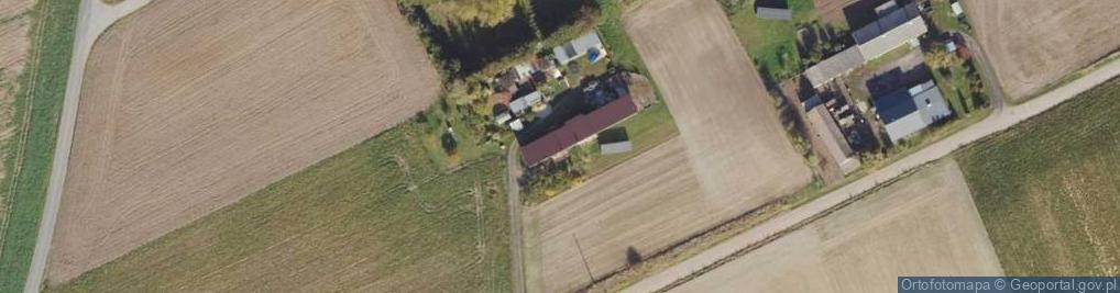 Zdjęcie satelitarne Radzicz ul.