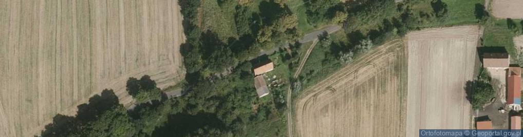 Zdjęcie satelitarne Radziechów ul.