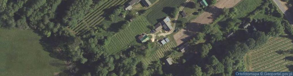 Zdjęcie satelitarne Radzięcin ul.