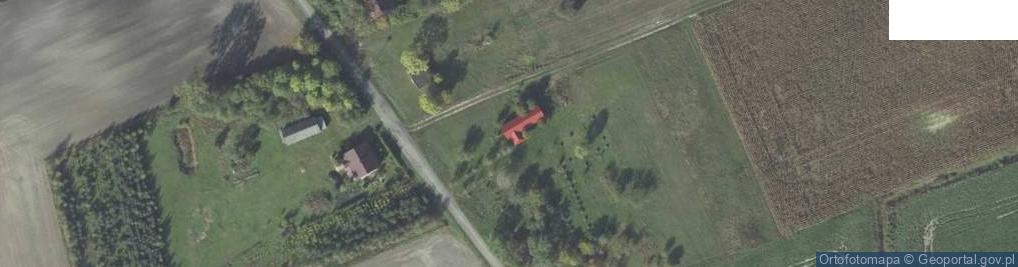 Zdjęcie satelitarne Radziejów ul.