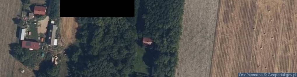 Zdjęcie satelitarne Radzikowo Scalone ul.
