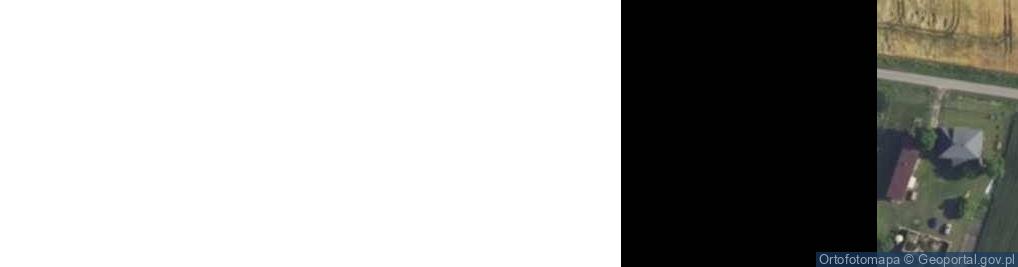 Zdjęcie satelitarne Radzyń ul.