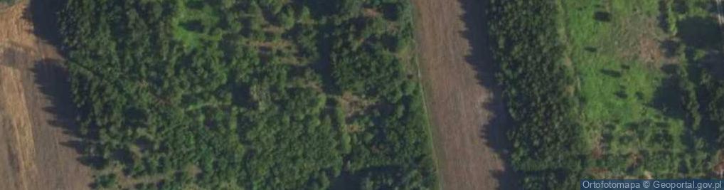 Zdjęcie satelitarne Radosna ul.