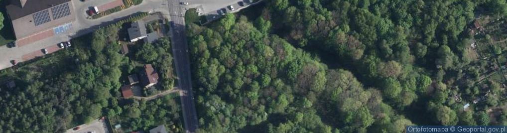 Zdjęcie satelitarne Radlińska ul.