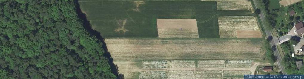 Zdjęcie satelitarne Radwany ul.