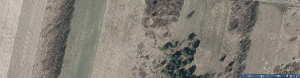 Zdjęcie satelitarne Realistów ul.