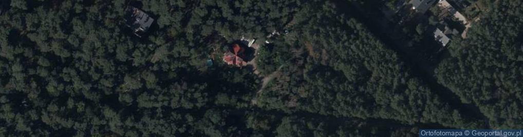 Zdjęcie satelitarne Rejtana Tadeusza ul.