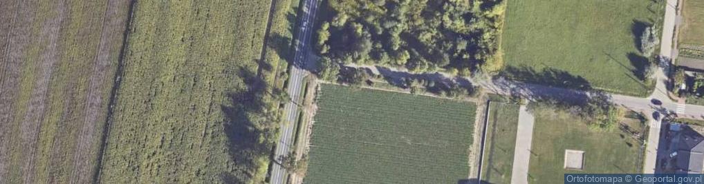 Zdjęcie satelitarne Reymonta Władysława ul.