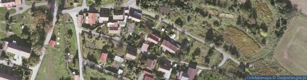 Zdjęcie satelitarne Ręczyn ul.